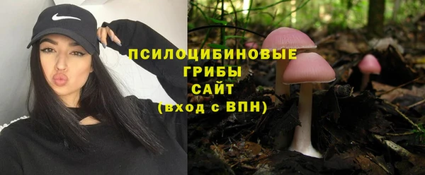 прущий лед Нягань