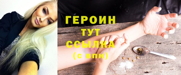 хмурый Няндома