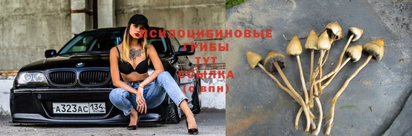 бошки Остров