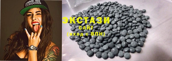 хмурый Няндома