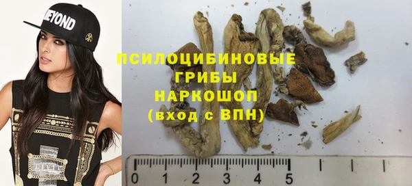 хмурый Няндома