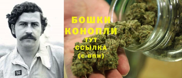 хмурый Няндома