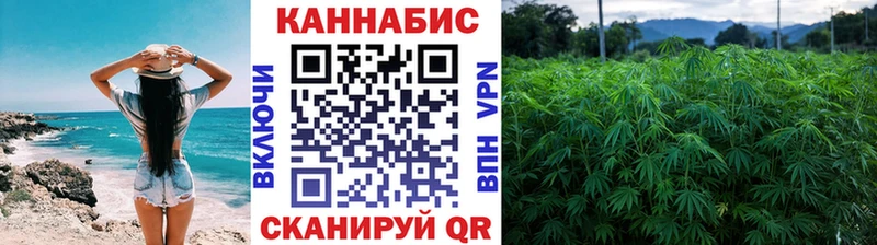 Шишки марихуана MAZAR  купить закладку  Ардатов 